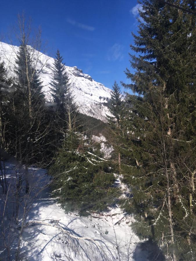 Les Combettes Daire Les Contamines-Montjoie Dış mekan fotoğraf